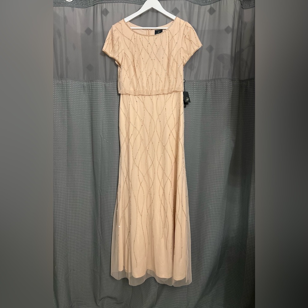 Adrianna Papell Blush Pink Gown - Picture 5 of 15